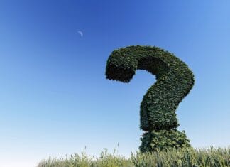 Ranking ciast świątecznych – od sernika po makowiec