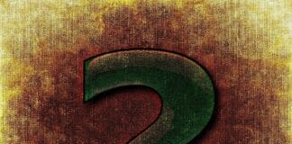 Najlepsze rośliny domowe – ranking dla początkujących