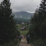 Turyści na górskim szlaku w Zakopanem wśród drzew i chmur