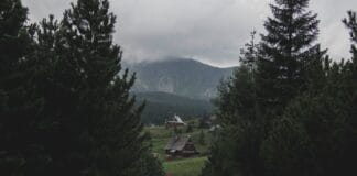 Weekend w górach w Polsce: najlepsze szlaki, noclegi i atrakcje dla aktywnych podróżników Turyści na górskim szlaku w Zakopanem wśród drzew i chmur