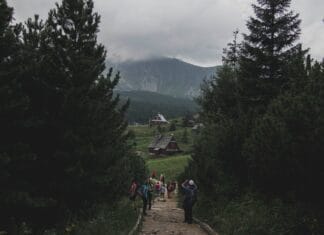 Turyści na górskim szlaku w Zakopanem wśród drzew i chmur